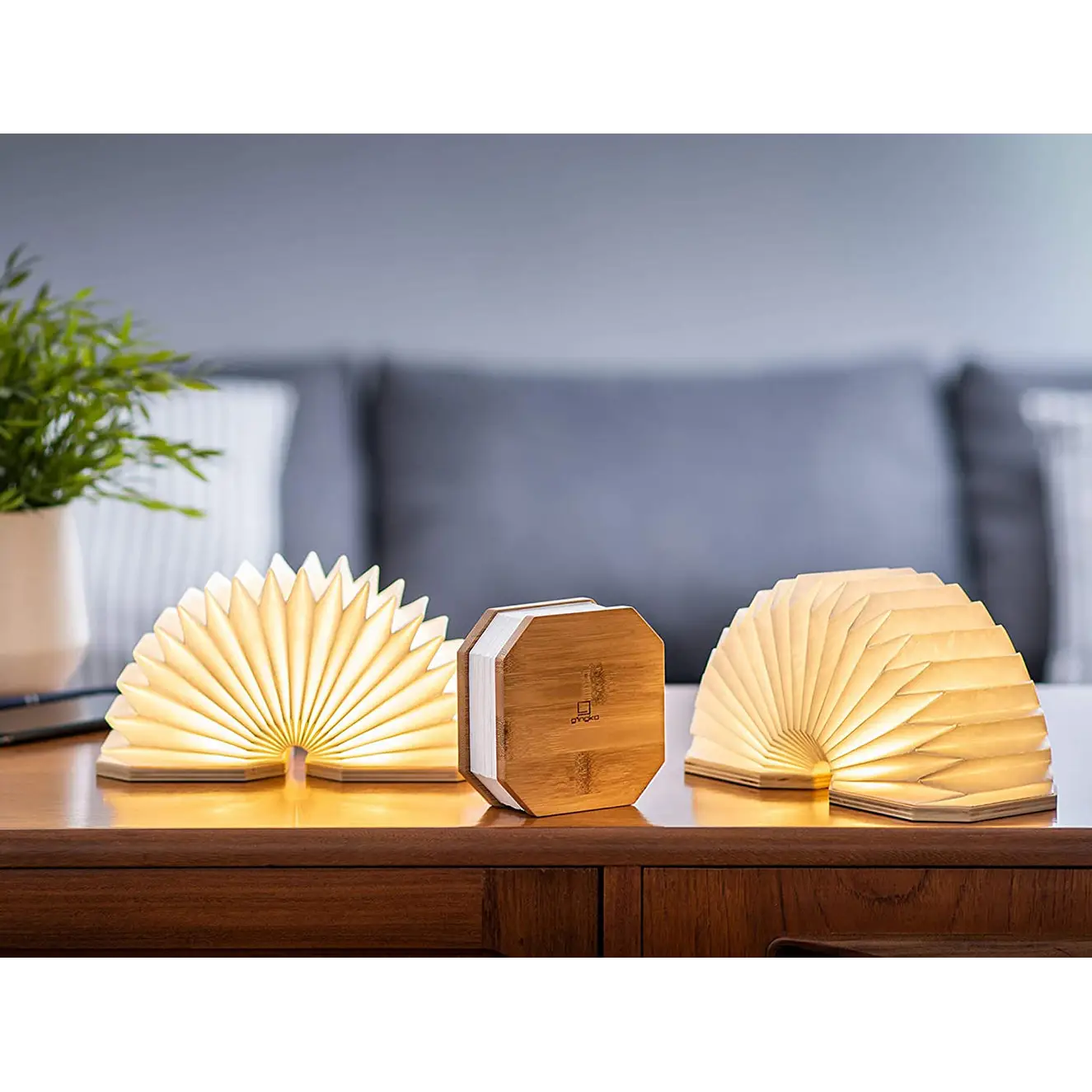 Gingko Wooden Smart Accordion 400 Lumens LED Desk Lamp