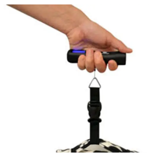 GoGreen Travergo Digital Luggage Scale with Strap (Black)