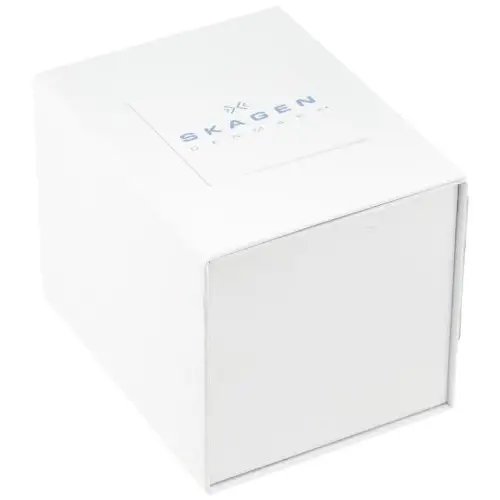 SKAGEN WATCH SS/BLACK 100.00 - Watches skagen