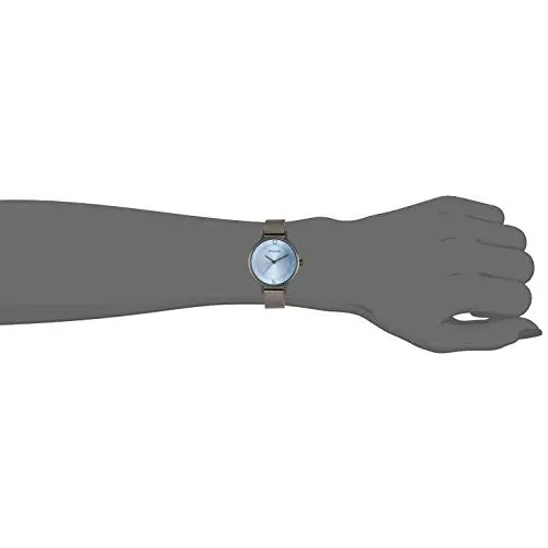 Skagen Women’s Anita Crystal Accented Quartz Stainless Steel