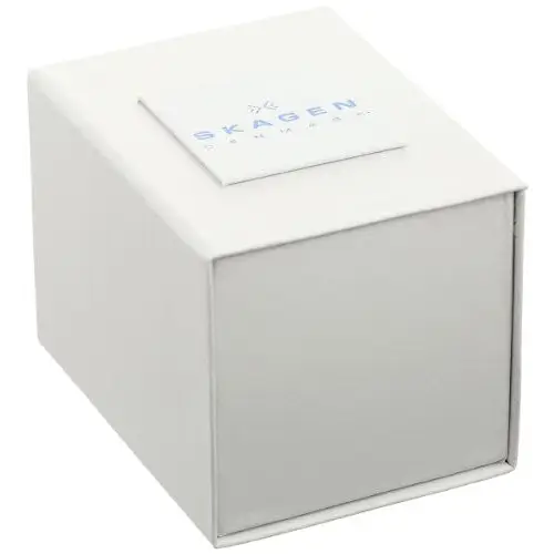 Skagen Women’s SKW2137 Gitte Quartz 2 Hand Stainless Steel