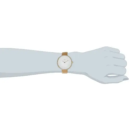 Skagen Women’s SKW2137 Gitte Quartz 2 Hand Stainless Steel