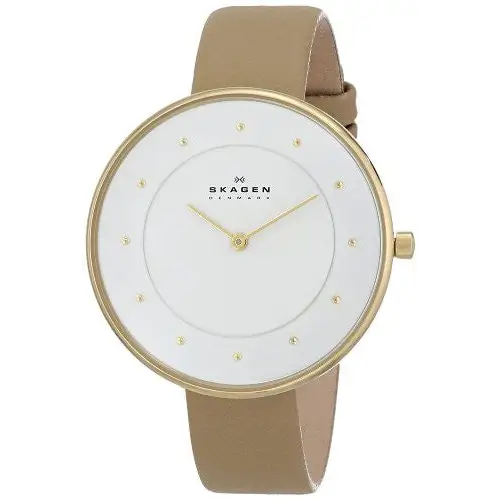 Skagen Women’s SKW2137 Gitte Quartz 2 Hand Stainless Steel