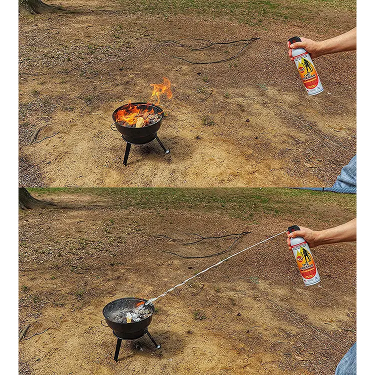The Fireman Fire Extinguisher Spray: UL Approved Home Use 18
