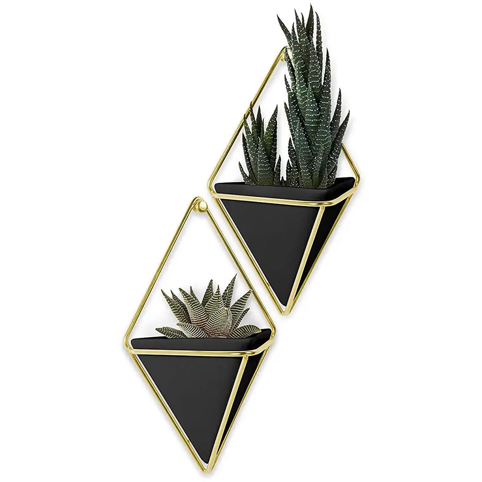 Umbra Trigg Planter/Storage Wall Vessels 2pc Small