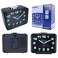 Casio Analog Quartz Snooze Beep Alarm Clock TQ218-1D - Misc