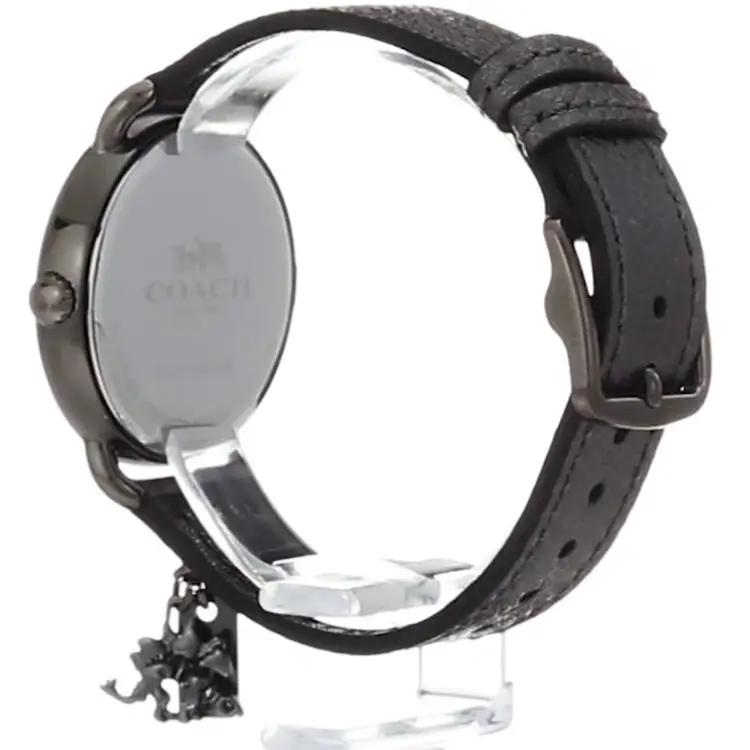 Coach Women’s Delancey Quartz Stainless Steel/Metallic