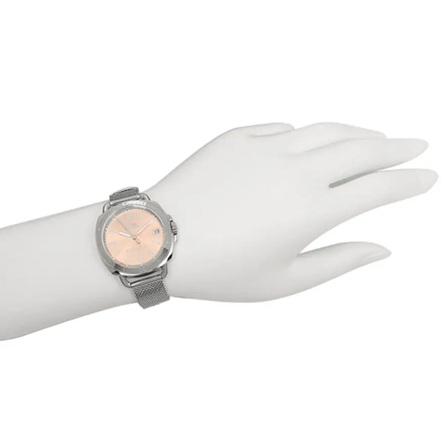 Coach Women’s Tatum Analog Quartz Stainless Steel Mesh Watch