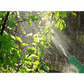 Delta Plant Care BPA Free Pressure Sprayer 48-Ounce