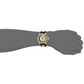 Invicta Men’s Pro Diver Automatic 300m Stainless Steel