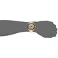 Invicta Men’s Pro Diver Quartz Chrono 100m Two Tone