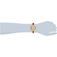 Invicta Women’s Angel Quartz Chrono 100m Stainless