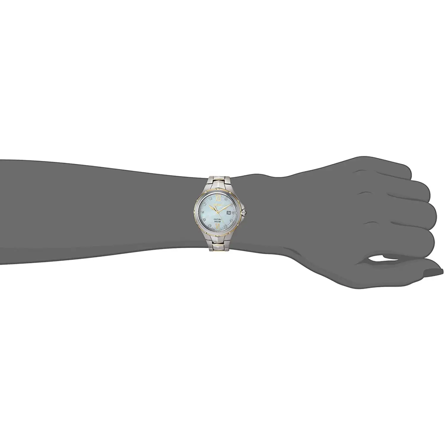 Seiko Women’s Quartz Stainless Steel Casual Watch Color:Two