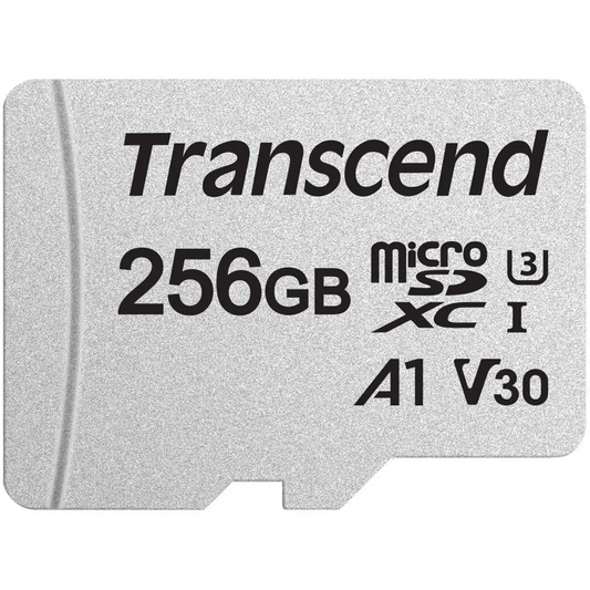 Transcend 256GB Class 10 MicroSDXC I with Adapter Memory