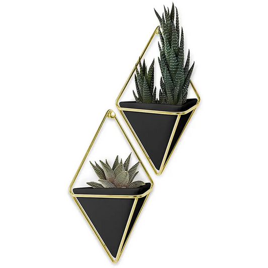 Umbra Trigg Planter/Storage Wall Vessels 2pc Small